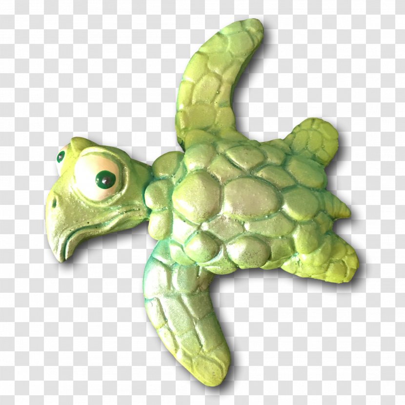 Sea Turtle Tortoise Terrestrial Animal Transparent PNG