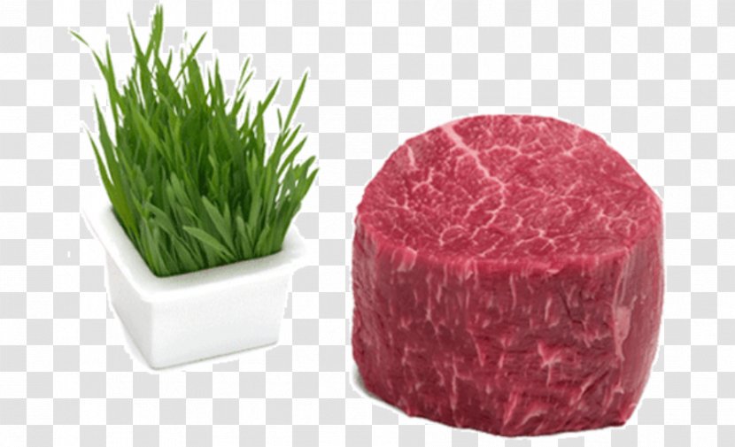 Angus Cattle Meat Beef Tenderloin Fillet - Steak Transparent PNG