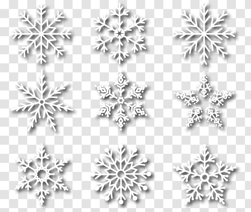 Euclidean Vector Flower - Photography - 9 White Snowflakes Transparent PNG