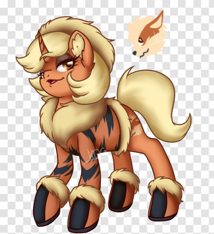 Lion Cat Horse Mammal Pony - Frame Transparent PNG