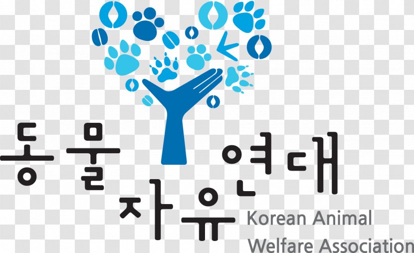 Feral Cat Animal Welfare Trap–neuter–return Korea Rights Advocates Transparent PNG