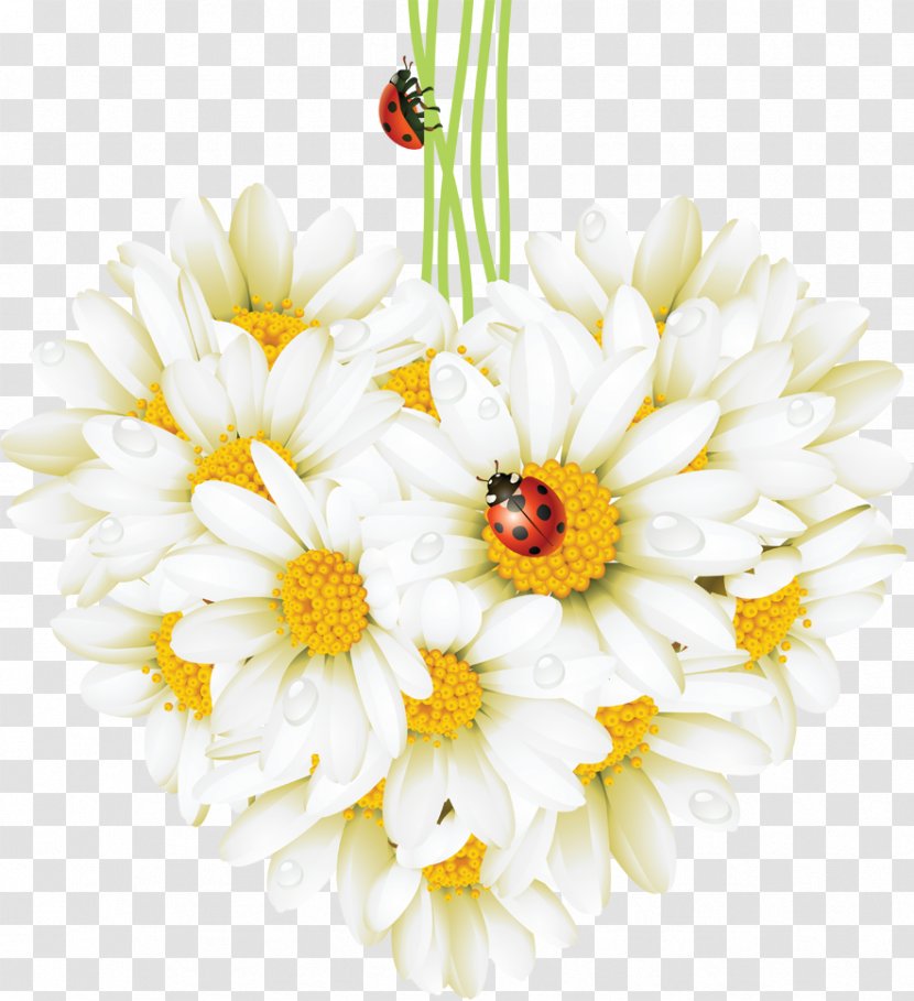 Beetle Ladybird Common Daisy Desktop Wallpaper - Artificial Flower - Chamomile Transparent PNG