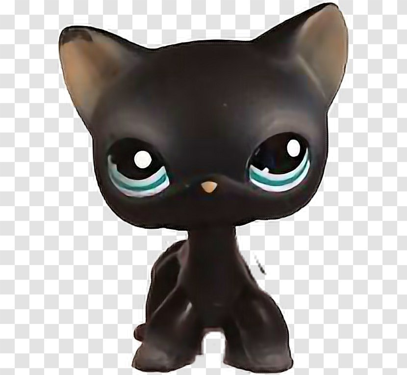 Black Cat British Shorthair Siamese Brazilian Domestic Short-haired - Toy Transparent PNG