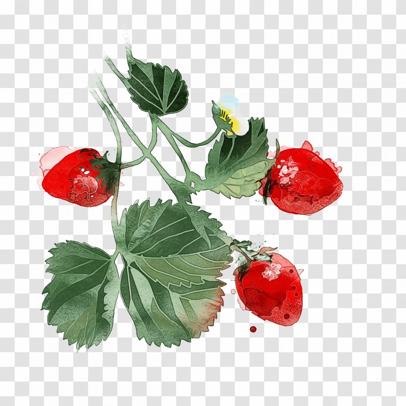 Strawberry - Flower - Alpine Strawberries Transparent PNG