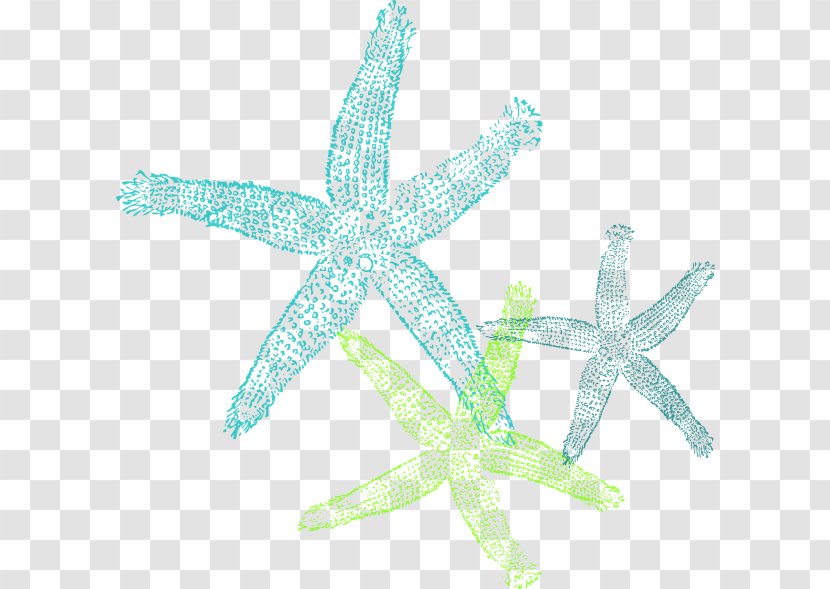 The Star Thrower Starfish Teal Turquoise Clip Art - Marine Invertebrates Transparent PNG