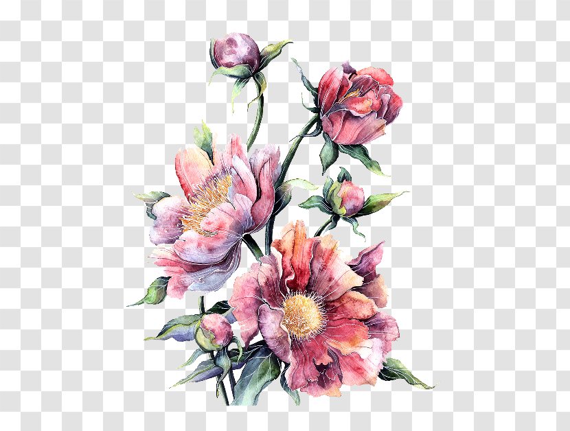Watercolour Flowers Watercolor Painting Floral Design - Botanical Illustration - Flower Transparent PNG