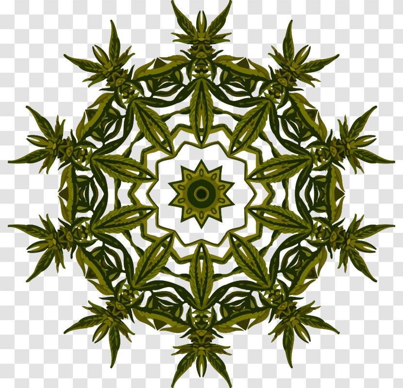 Plant Nature Science Ethnobotany - Rotational Symmetry - Design Transparent PNG