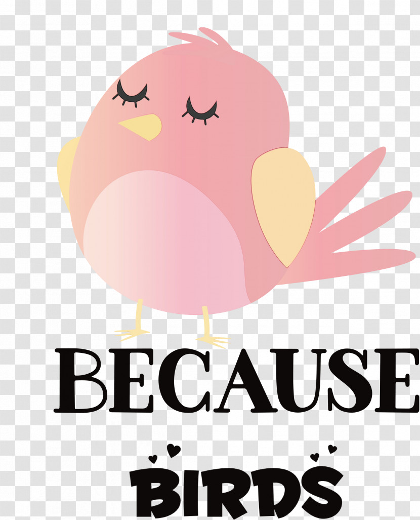 Birds Logo Bird Of Prey Cartoon Beak Transparent PNG
