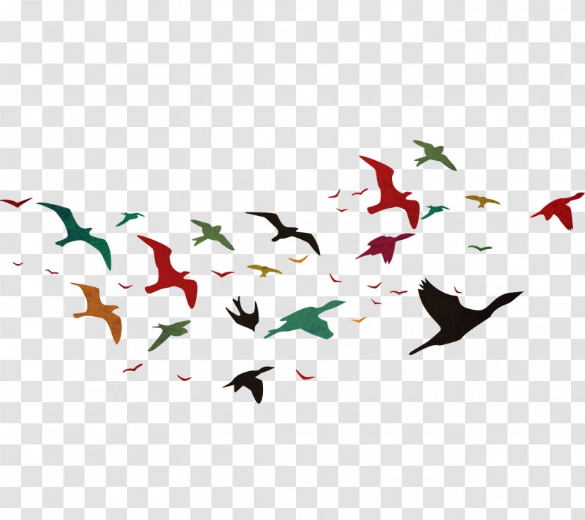 Bird Flight PhotoScape - Gimp Transparent PNG