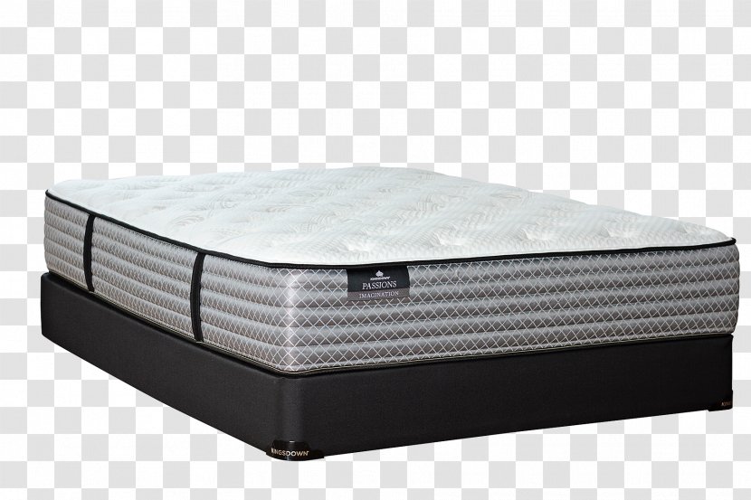 Mattress Firm Adjustable Bed Furniture - Sealy Corporation Transparent PNG