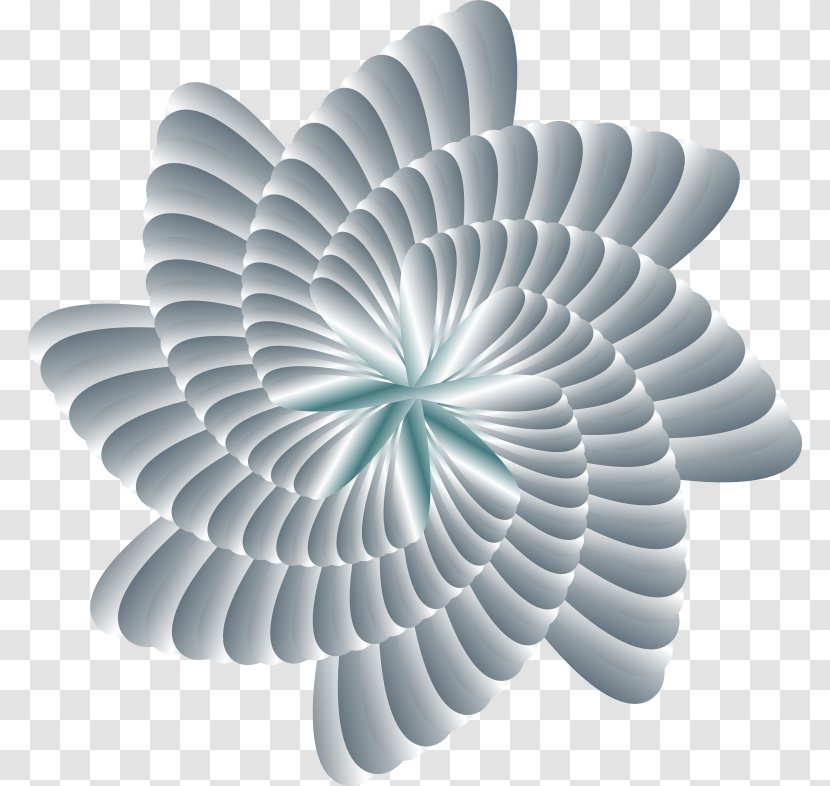 Clip Art - Flower - Twodimensional Space Transparent PNG
