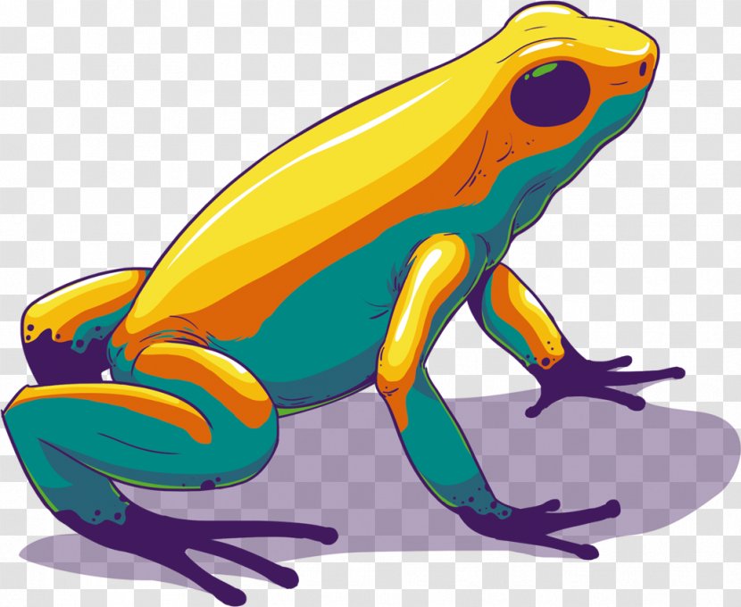 Toad True Frog Tree - Art Transparent PNG