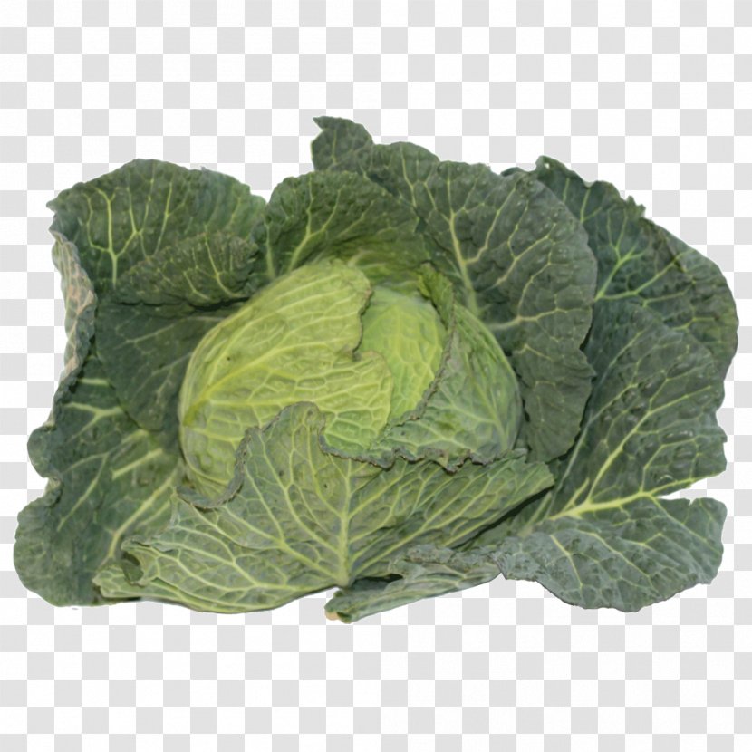 Savoy Cabbage Collard Greens Spring Cruciferous Vegetables Komatsuna - Vegetable - Leaf Transparent PNG