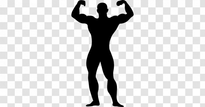 Silhouette Muscle Drawing Clip Art - Tree Transparent PNG