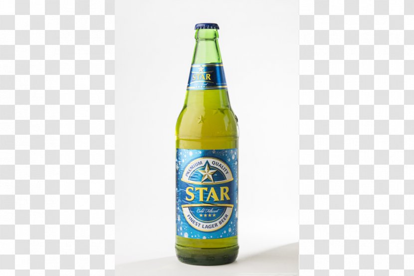 Lager Beer Bottle Glass Transparent PNG