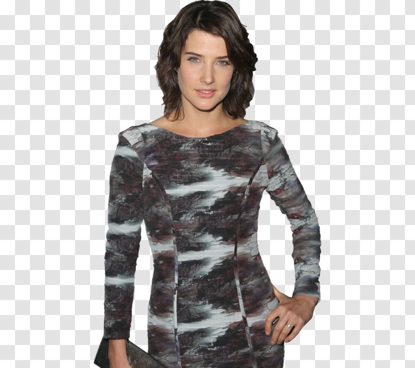 Cobie Smulders Robin Scherbatsky How I Met Your Mother Slap Bet T-shirt - Frame Transparent PNG
