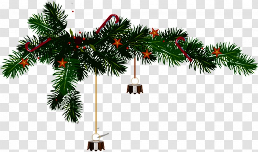 Christmas Tree Pine - Conifer - Creative Single Transparent PNG