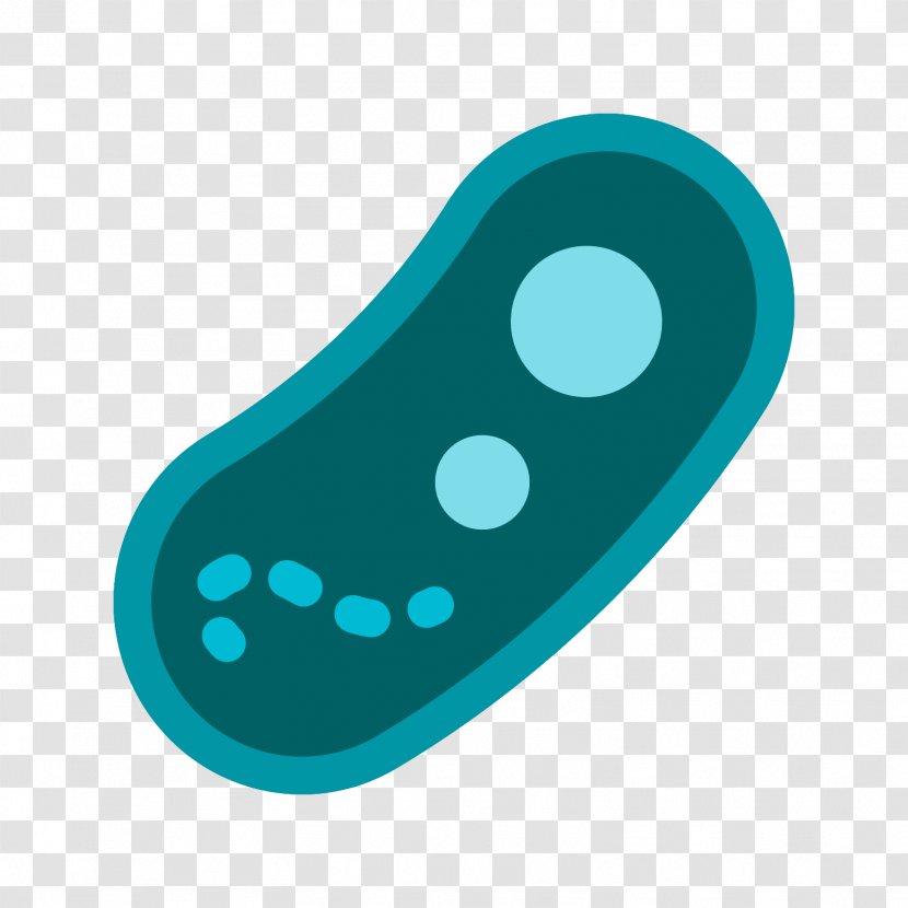 Bacteria - Microorganism Transparent PNG