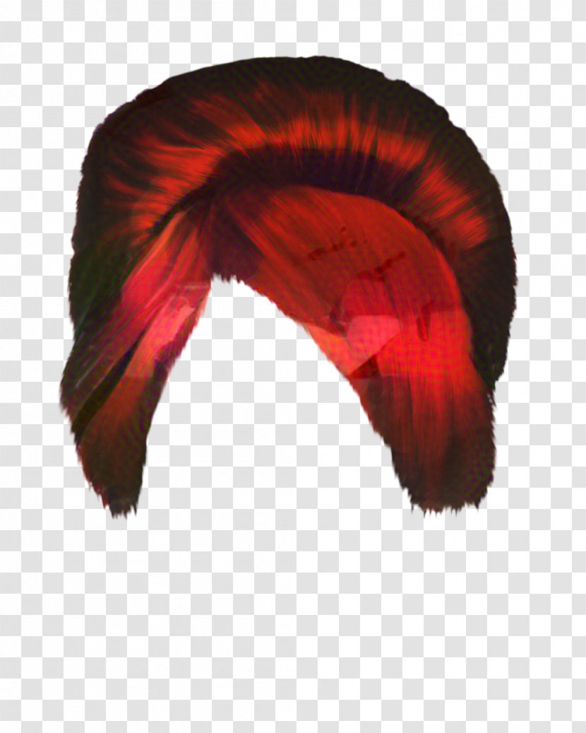 Woman Hair - Wing Tail Transparent PNG