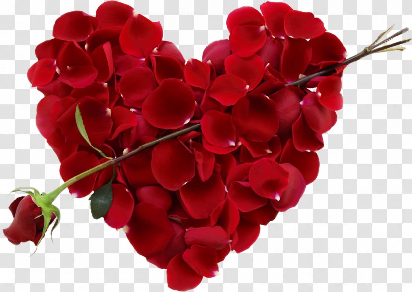 Valentine's Day Flower Heart Floral Design Gift Transparent PNG