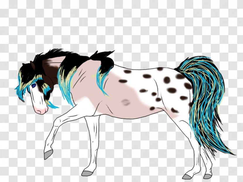 Mane Stallion Mare Mustang Colt - Horse Like Mammal Transparent PNG