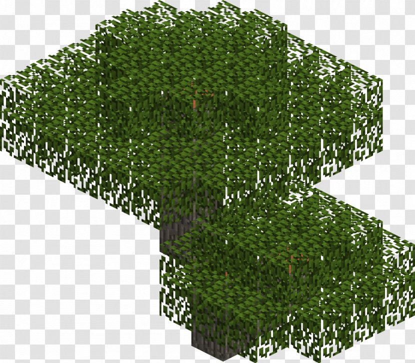 Minecraft Tree Oak Wattles Vachellia Tortilis - Gum Arabic Transparent PNG