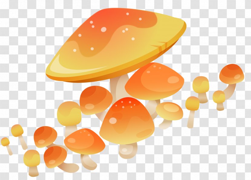 Mushroom Fungus Clip Art - Drawing - Melon Transparent PNG