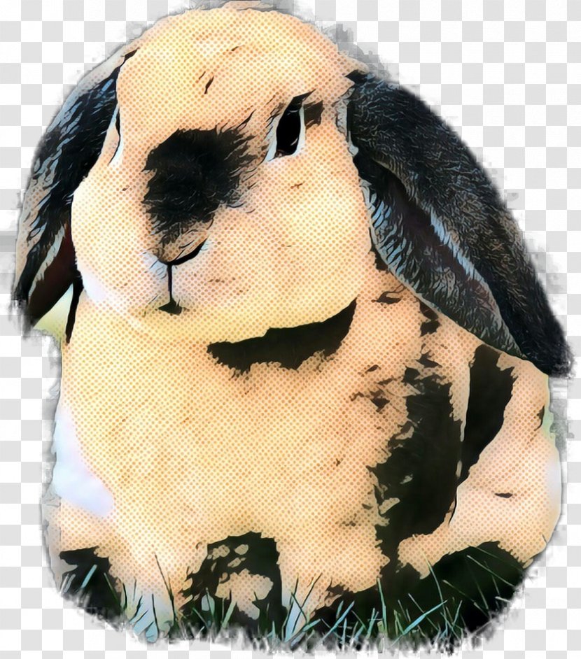 Domestic Rabbit Stuffed Animals & Cuddly Toys Snout Transparent PNG