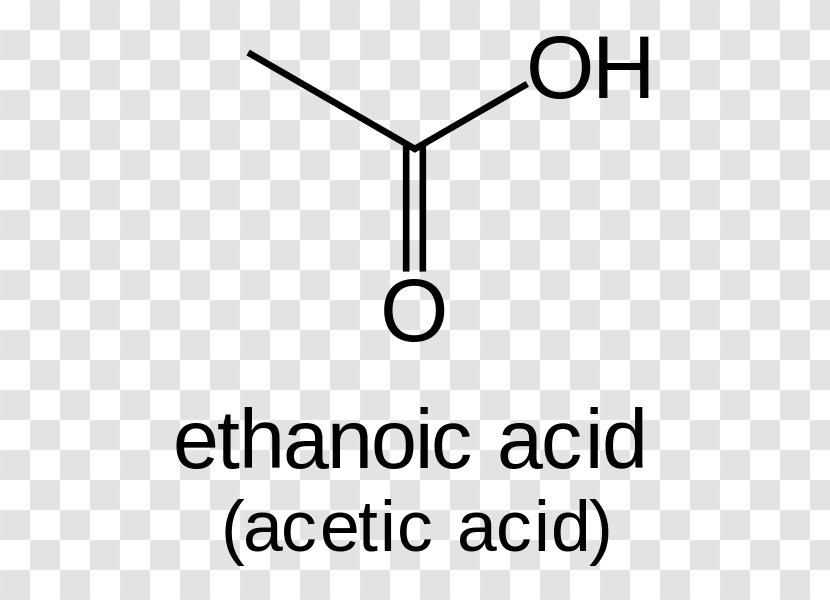 Proteinogenic Amino Acid Methyl Group Amine Leucine - Text - Carboxylic Transparent PNG