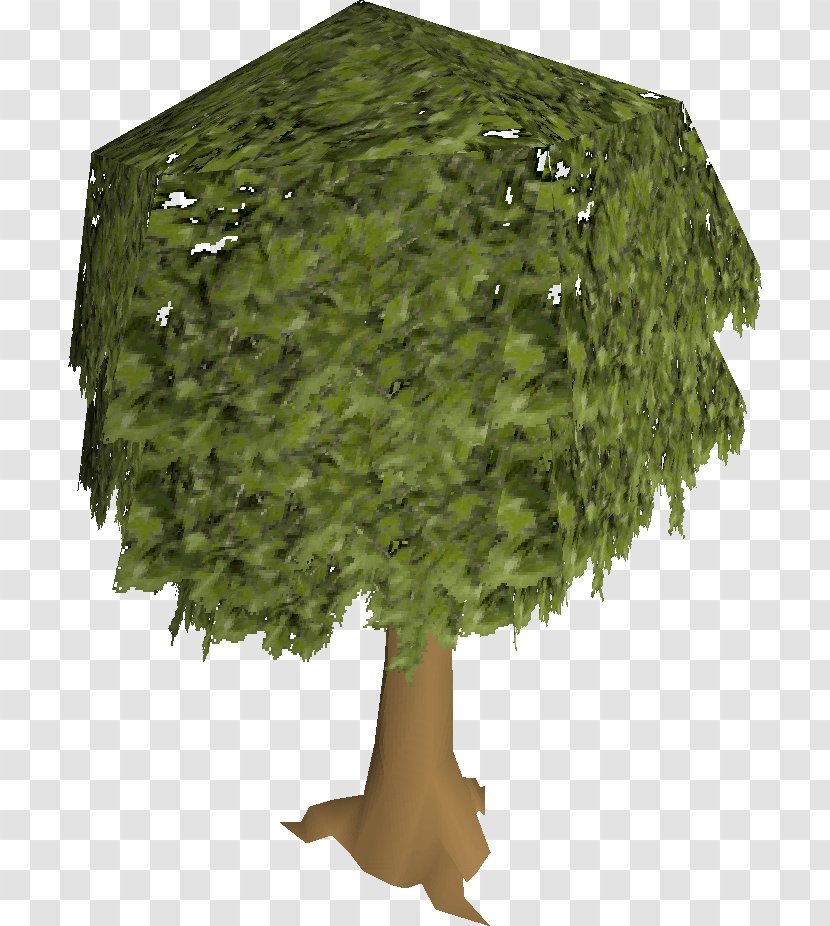 Old School RuneScape Tree Oak Woody Plant - Grass Transparent PNG