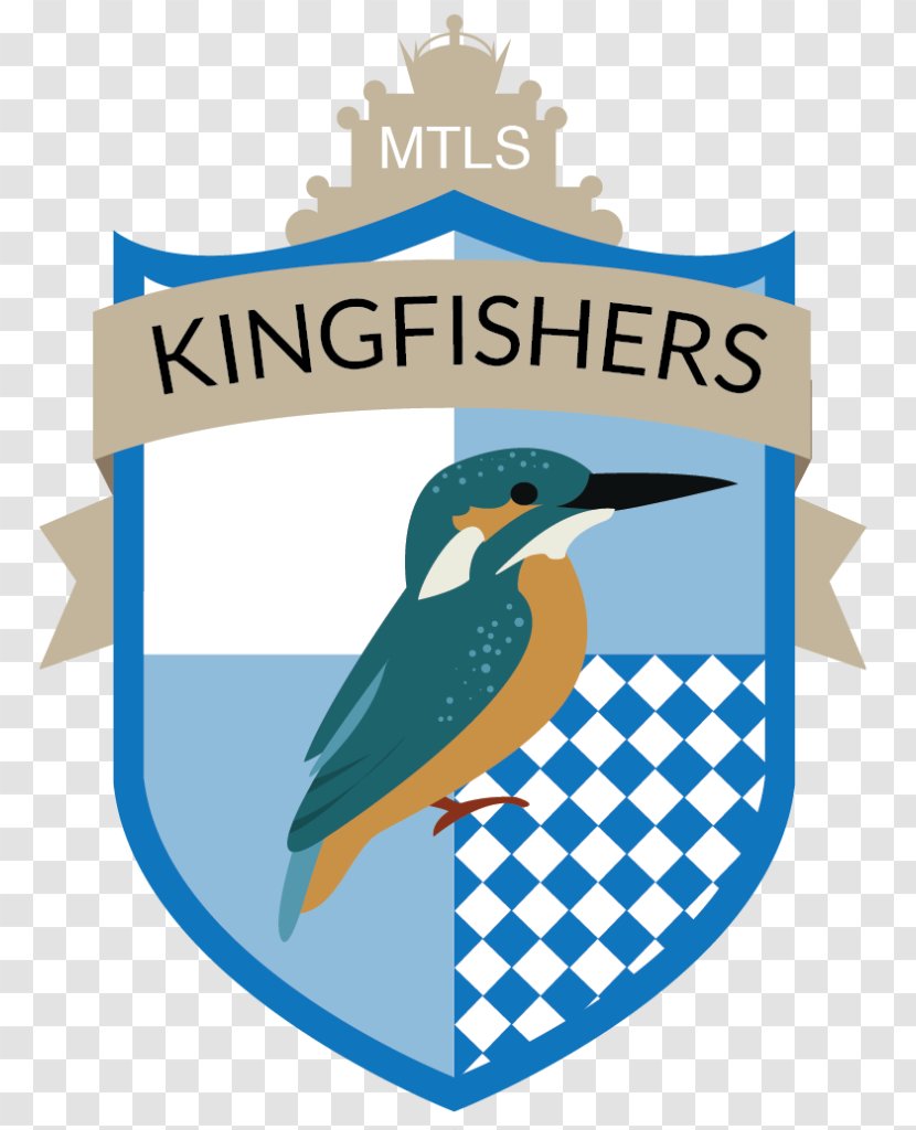 Beak Brand Logo Clip Art - Kingfisher Transparent PNG