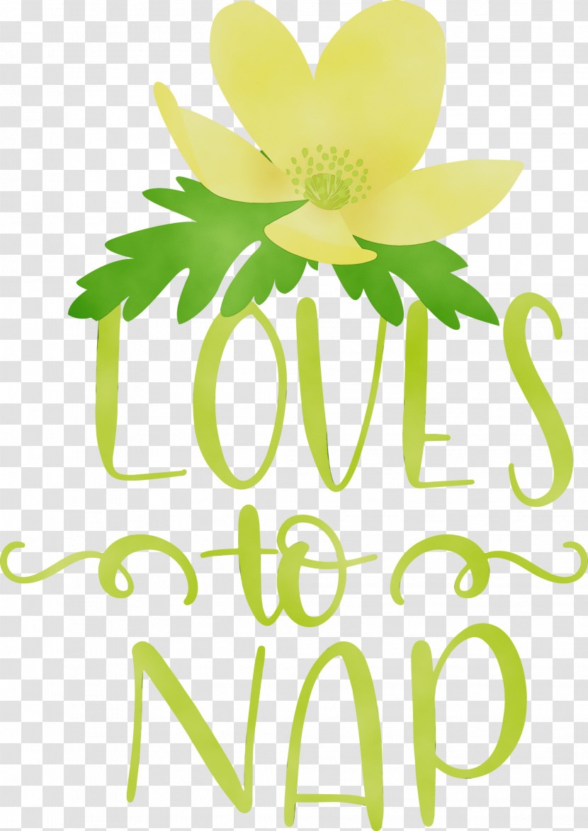 Floral Design Transparent PNG