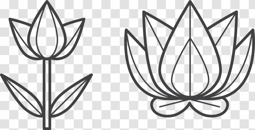 Flower Petal Symbol - Flora - Simple Pencil Mesh Transparent PNG