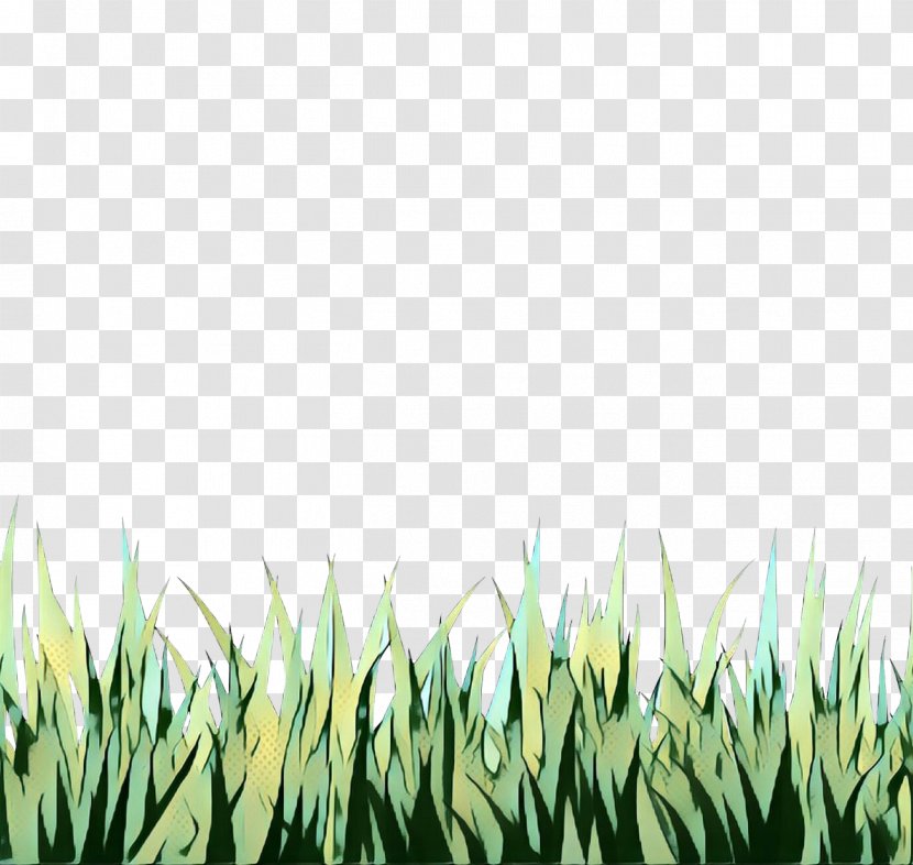 Green Grass Background - Flower - Perennial Plant Meadow Transparent PNG