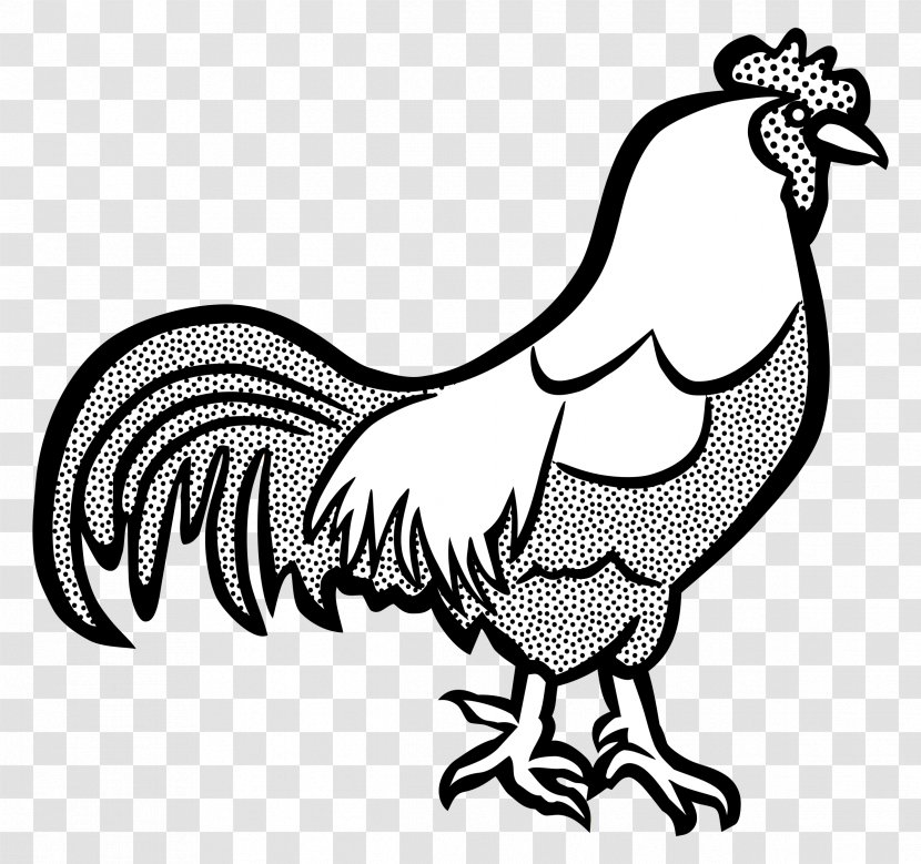 Wyandotte Chicken Cochin Dorking Rooster - Poultry - Cock Transparent PNG