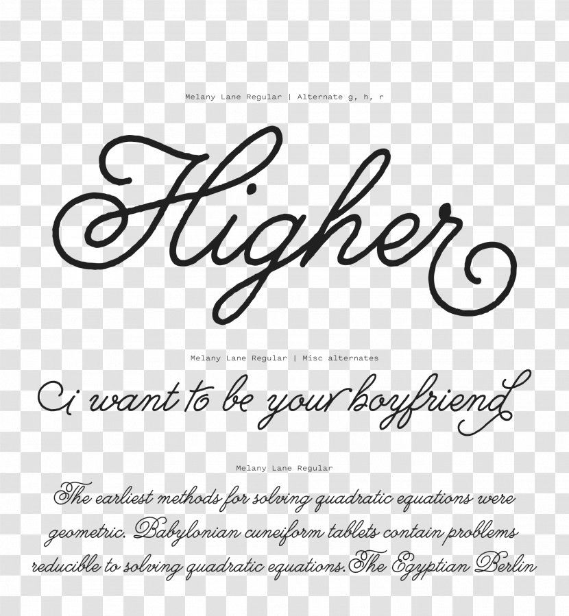 Script Typeface Calligraphy Cursive Font - Text Transparent PNG