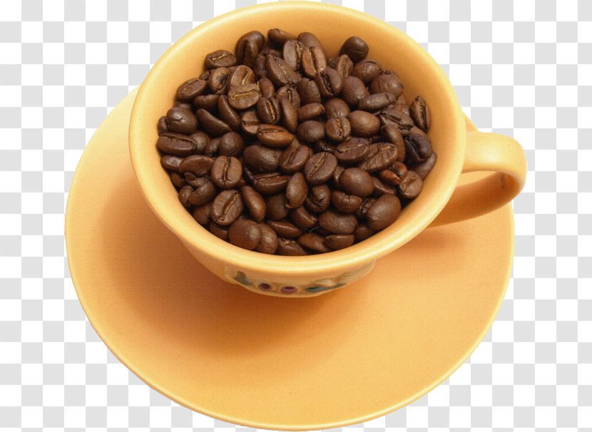 Coffee Bean Tea Cup - Caffeine - Of Beans Transparent PNG