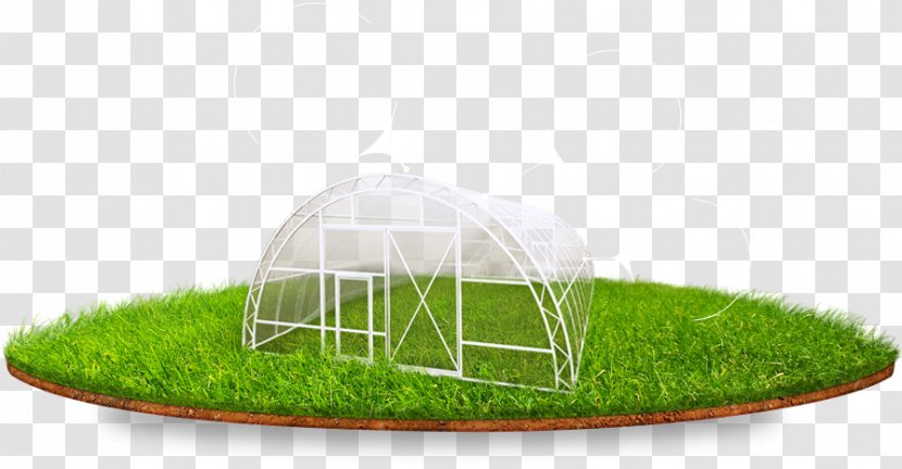 Lawn Product Design Grasses - Grass Family - Greenhouse Transparent PNG