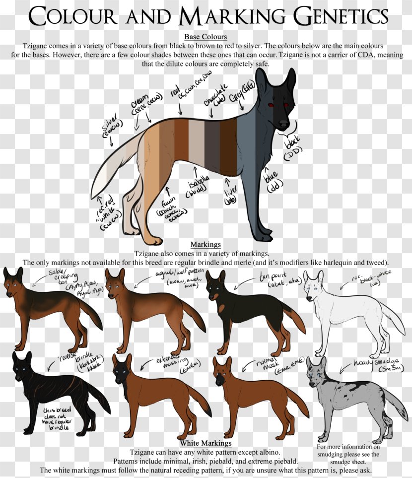 Dog Breed Malinois German Shepherd Belgian Non-sporting Group - Mustang Horse - Digital Markings Transparent PNG