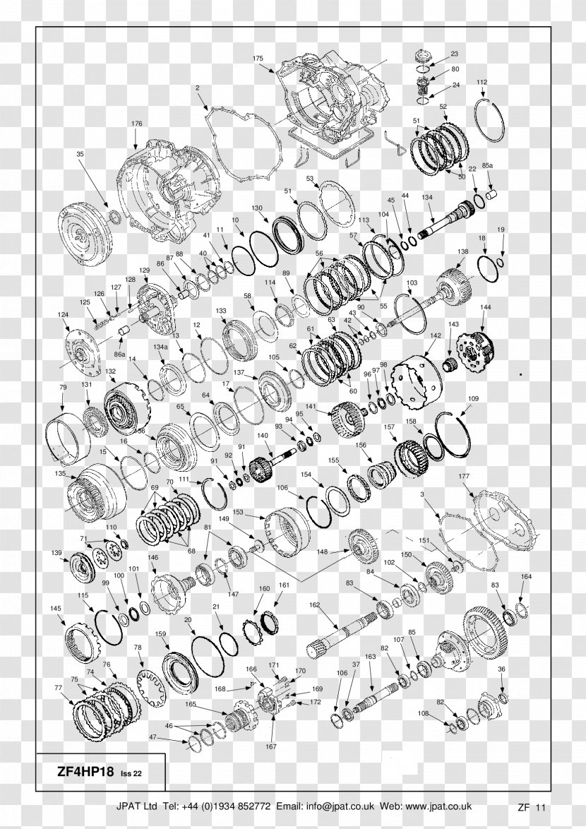 Paper Line Art Calligraphy Font - Animal Transparent PNG
