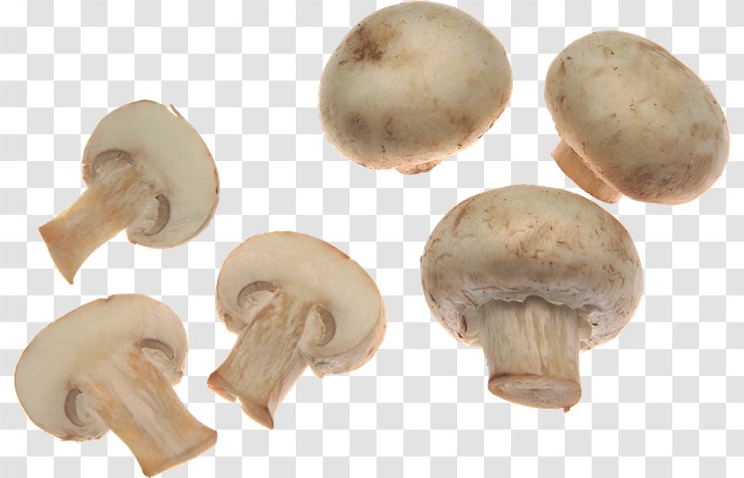 Edible Mushroom Common - Fungus - Lamborghini Transparent PNG