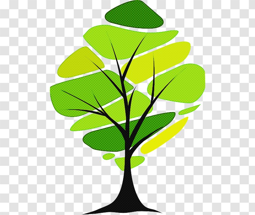 Leaf Green Plant Tree Stem - Flower Houseplant Transparent PNG