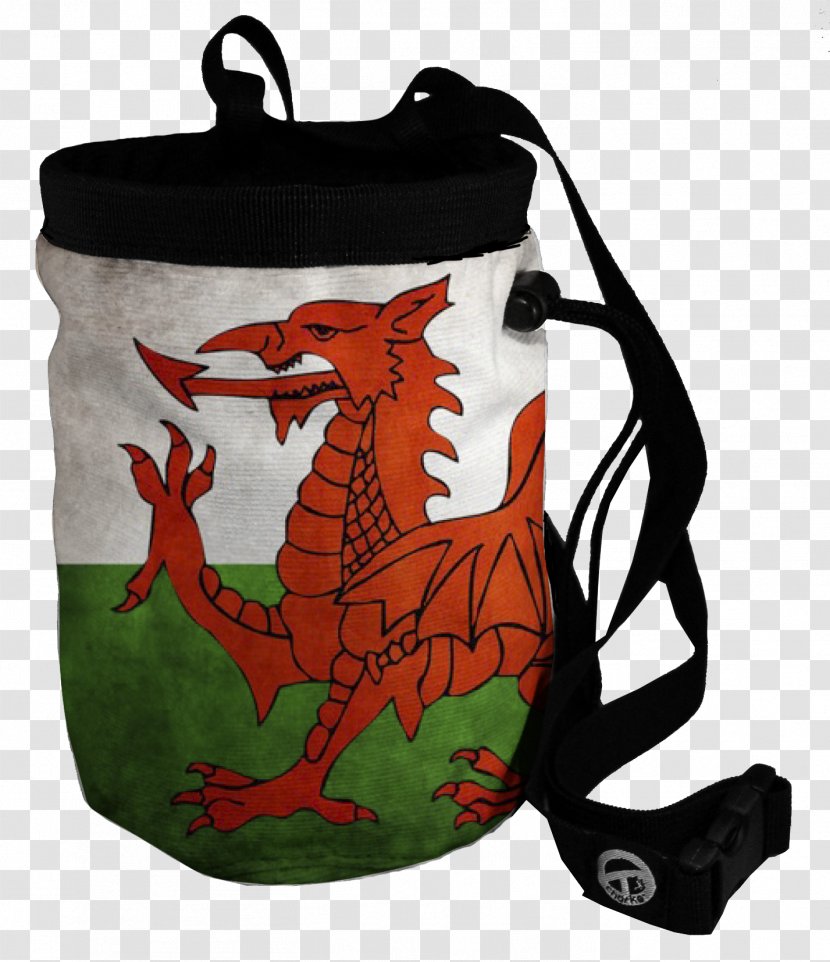 Flag Of Wales Welsh Dragon Circuit - England Transparent PNG