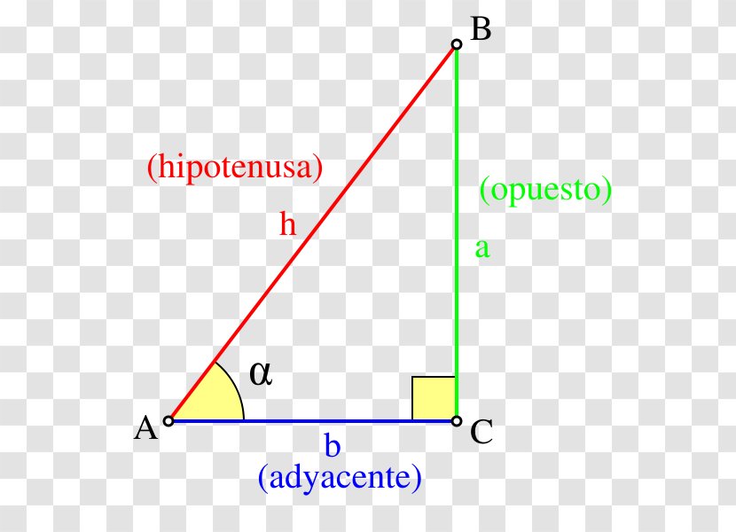 Trigonometric Functions Triangle Trigonometry Transparent PNG