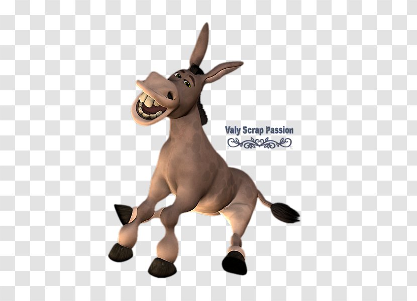 Donkey Drawing Aasi - Frame Transparent PNG