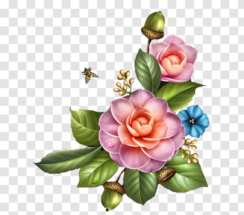 Flower Day Clip Art - Rose Family Transparent PNG