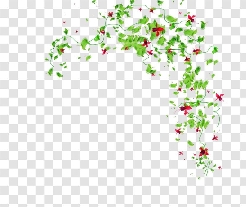 Floral Design - Holly - Wildflower Transparent PNG