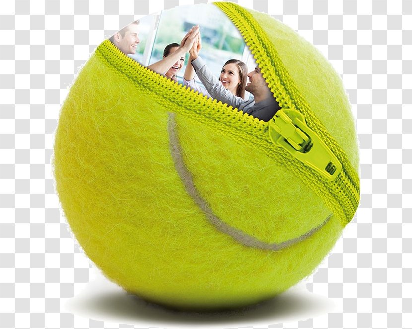 Insurance Assuréa Contract Tennis Balls Assicurazioni Generali - Assurance Maladie En France - Tenis Transparent PNG