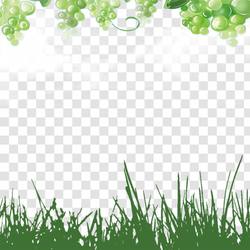 Green Grapes - Grape - Leaf Transparent PNG