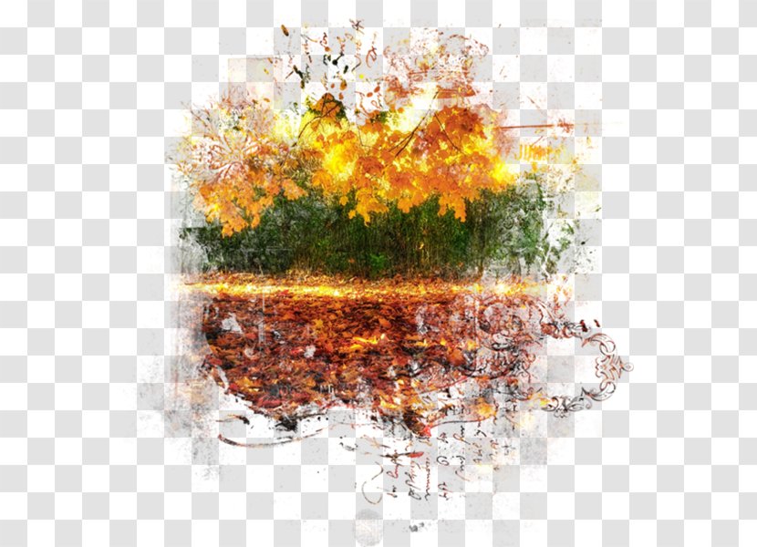 Autumn Photography Season Transparent PNG